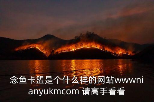 念魚卡盟是個(gè)什么樣的網(wǎng)站wwwnianyukmcom 請(qǐng)高手看看