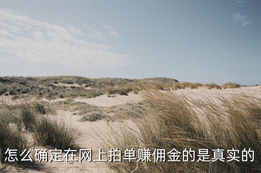 怎么確定在網(wǎng)上拍單賺傭金的是真實(shí)的