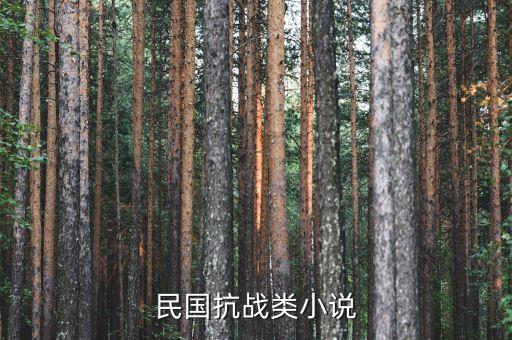 民國抗戰(zhàn)類小說