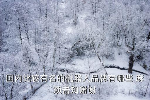中國十大智能機器人公司，請問國內(nèi)前十名機器人公司中有幾家是專注于老年服務(wù)機器人的