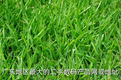 二手電子產(chǎn)品批發(fā)貨源網(wǎng)，廣東地區(qū)最大的二手?jǐn)?shù)碼產(chǎn)品網(wǎng)或地址
