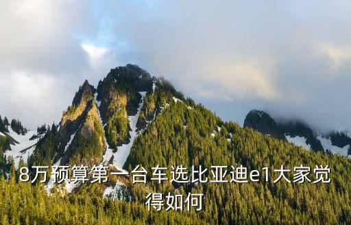 8萬左右的新能源電動(dòng)汽車，新能源車8萬左右甚么牌子的好
