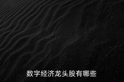 數(shù)字經(jīng)濟龍頭股有哪些