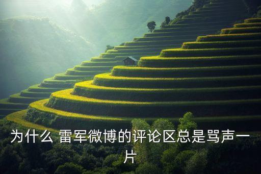 為什么 雷軍微博的評論區(qū)總是罵聲一片
