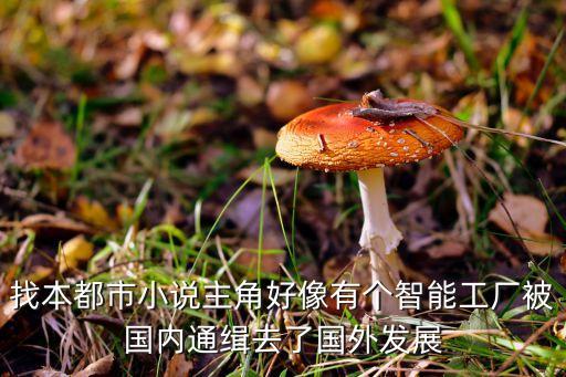智能工廠小說，找本都市小說主角好像有個(gè)智能工廠被國內(nèi)通緝?nèi)チ藝獍l(fā)展
