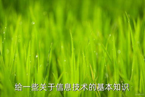 給一些關(guān)于信息技術(shù)的基本知識(shí)