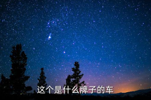 這個(gè)是什么牌子的車