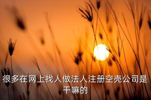 很多在網(wǎng)上找人做法人注冊(cè)空殼公司是干嘛的