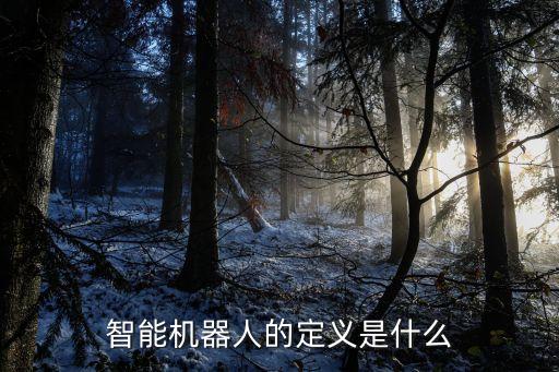 人工智能機(jī)器人是什么意思，什么是智能機(jī)器人