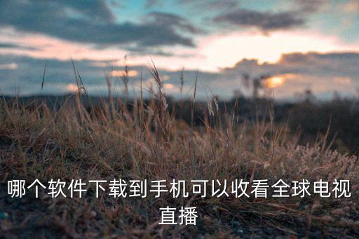 哪個(gè)軟件下載到手機(jī)可以收看全球電視直播