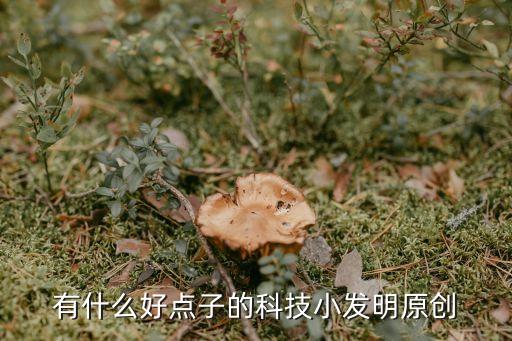 有什么好點(diǎn)子的科技小發(fā)明原創(chuàng)