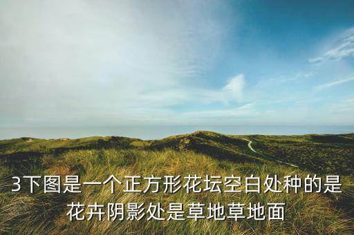 神級簽到 開局獲得黑暗圓環(huán)，3下圖是一個正方形花壇空白處種的是花卉陰影處是草地草地面
