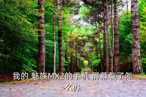 魅族自動(dòng)裂屏幕,魅族mx3屏幕沒那么脆弱多關(guān)注手機(jī)說(shuō)明書