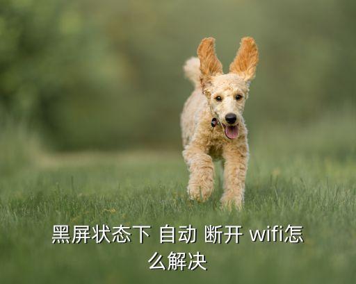 黑屏狀態(tài)下 自動(dòng) 斷開(kāi) wifi怎么解決