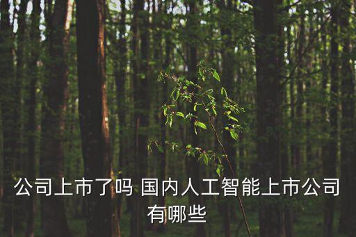 公司上市了嗎 國內(nèi)人工智能上市公司有哪些