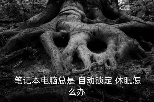  筆記本電腦總是 自動鎖定 休眠怎么辦
