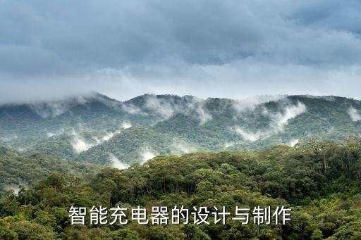 智能充電器的設(shè)計(jì)與制作