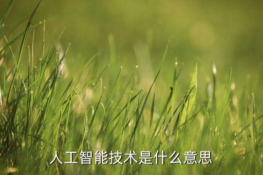 人工智能技術(shù)是什么意思