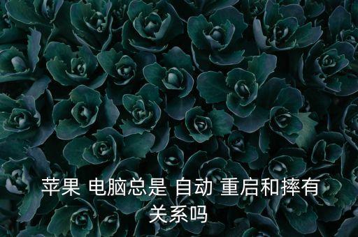  蘋果 電腦總是 自動(dòng) 重啟和摔有關(guān)系嗎