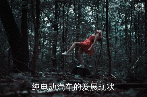 純電動汽車的發(fā)展現(xiàn)狀