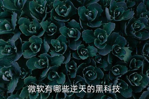 微軟有哪些逆天的黑科技