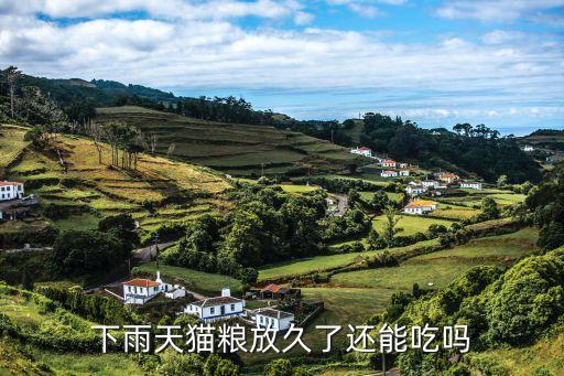 自動喂食器 貓糧 受潮,如何辨別貓糧是否變質?