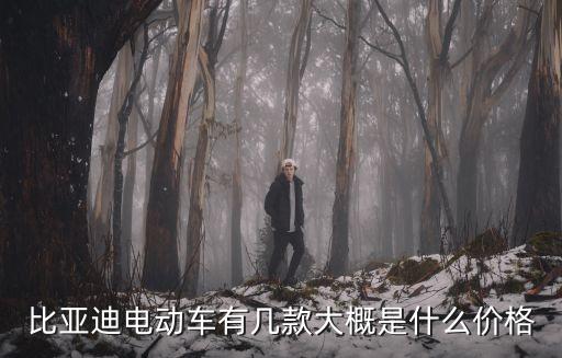 比亞迪電動汽車6萬左右，六萬左右的比亞迪怎么樣
