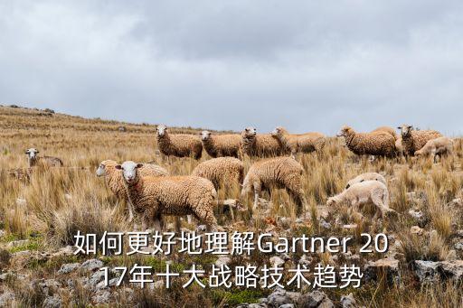 如何更好地理解Gartner 2017年十大戰(zhàn)略技術(shù)趨勢