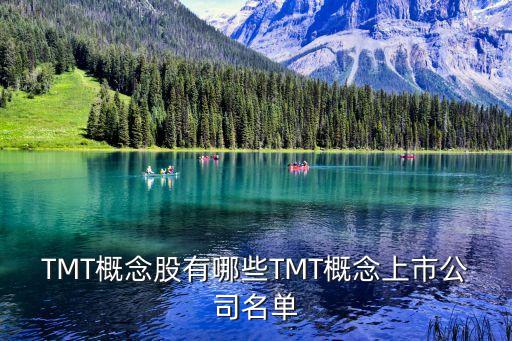 TMT概念股有哪些TMT概念上市公司名單