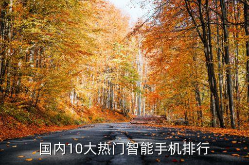 智能產(chǎn)品排行榜，國內(nèi)10大熱門智能手機排行