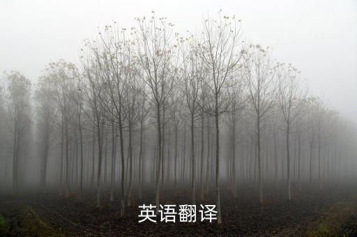 英語翻譯