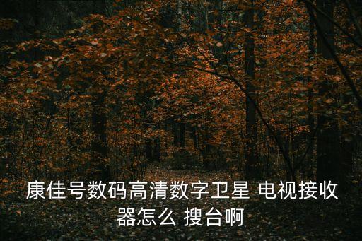  康佳號數(shù)碼高清數(shù)字衛(wèi)星 電視接收器怎么 搜臺啊