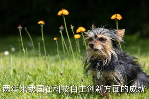 2020年科技創(chuàng)新重大成果，近幾年我國科技創(chuàng)新方面的成就