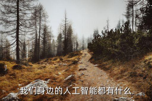 生活中的人工智能產(chǎn)品有哪些，大家來說說目前有哪些人工智能的高科技產(chǎn)品