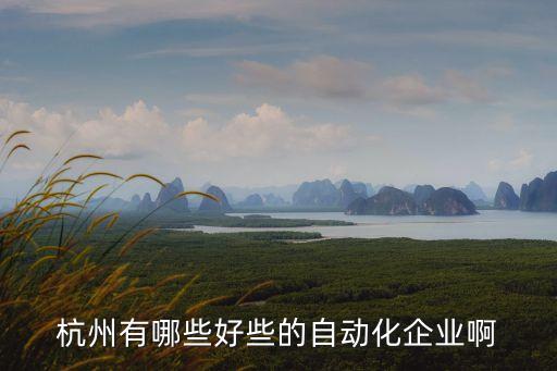 杭州有哪些好些的自動(dòng)化企業(yè)啊