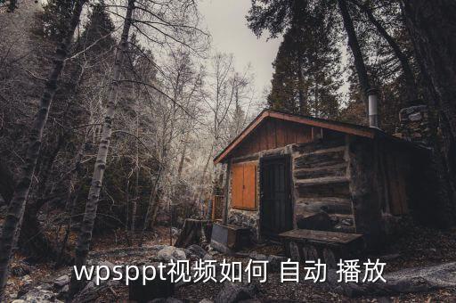wps幻燈片循環(huán)自動(dòng)播放,第n個(gè)幻燈片播放方式與第一個(gè)相同
