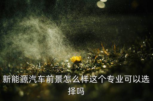 新能源汽車前景怎么樣這個(gè)專業(yè)可以選擇嗎