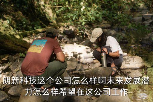 朗新科技集團股份有限公司，朗新科技中國有限公司天津項目組怎么樣
