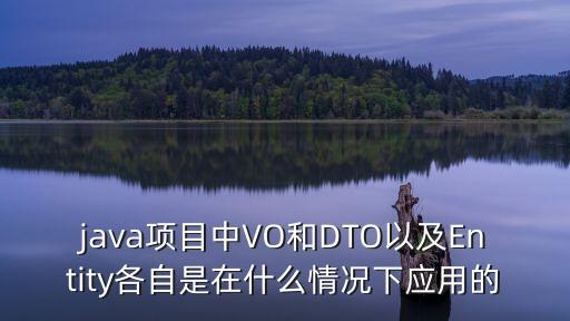 java項目中VO和DTO以及Entity各自是在什么情況下應(yīng)用的