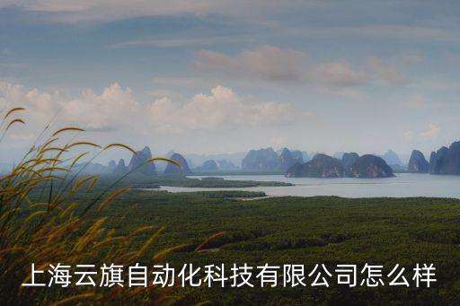 上海云旗自動化科技有限公司怎么樣