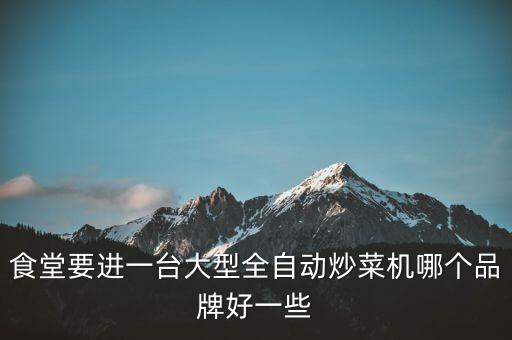 商用全自動炒菜機視頻，食堂要進一臺大型全自動炒菜機哪個品牌好一些