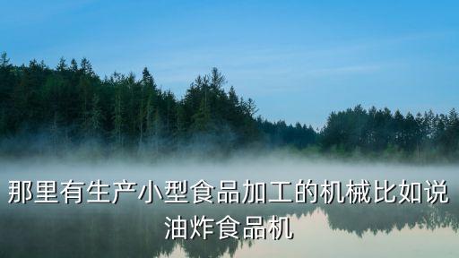 那里有生產(chǎn)小型食品加工的機(jī)械比如說油炸食品機(jī)