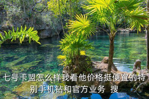 71卡盟，七號(hào)卡盟怎么樣我看他價(jià)格挺便宜的特別手機(jī)鉆和官方業(yè)務(wù)  搜