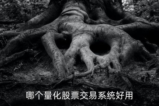 哪個(gè)量化股票交易系統(tǒng)好用