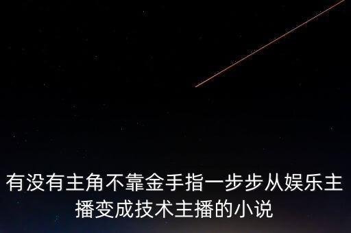 有沒有主角不靠金手指一步步從娛樂主播變成技術(shù)主播的小說