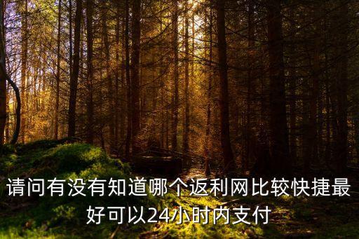 請(qǐng)問(wèn)有沒(méi)有知道哪個(gè)返利網(wǎng)比較快捷最好可以24小時(shí)內(nèi)支付