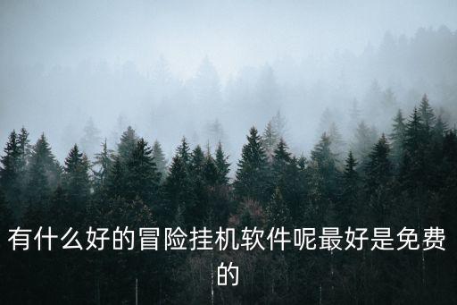 掛機(jī)軟件免費(fèi)，有什么好的冒險(xiǎn)掛機(jī)軟件呢最好是免費(fèi)的