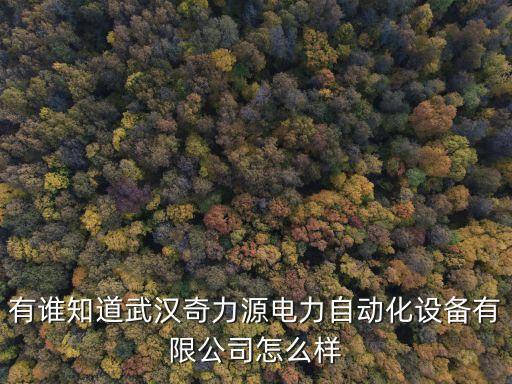 有誰知道武漢奇力源電力自動(dòng)化設(shè)備有限公司怎么樣
