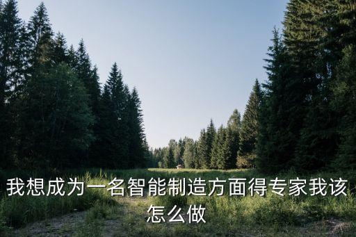 大學(xué)生智能制造心得體會，智能制造與汽車產(chǎn)業(yè)變革論文