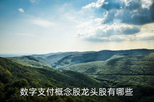 數(shù)字支付概念股龍頭股有哪些